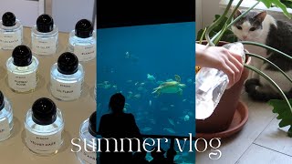 my days in summerㅣmy birthdayㅣgoing to aquarium aloneㅣmorning routine before going to the office by jenny 영경 192 views 6 months ago 14 minutes, 3 seconds