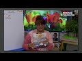 WQLN PBS Homeroom for Pre-K | Season 2 Week 8 - Social Studies