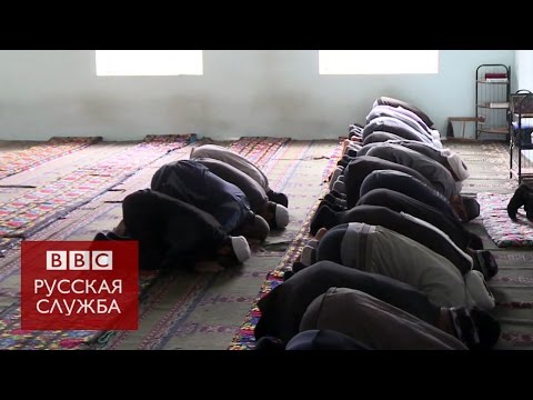 Путь джихадистов: из Таджикистана в Сирию - через Россию - BBC Russian