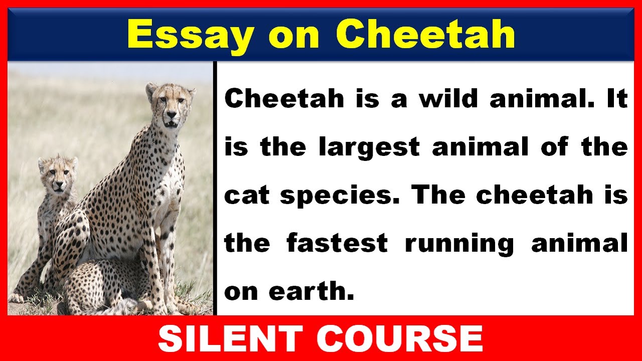 essay on project cheetah in english