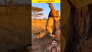 animal funny video😂😂 #trending #viral #shorts #video #india #reels #animals #funny #comedy #tiktok