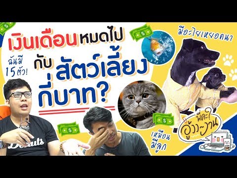 วีดีโอ: อูฮอลวันละเท่าไหร่คะ?