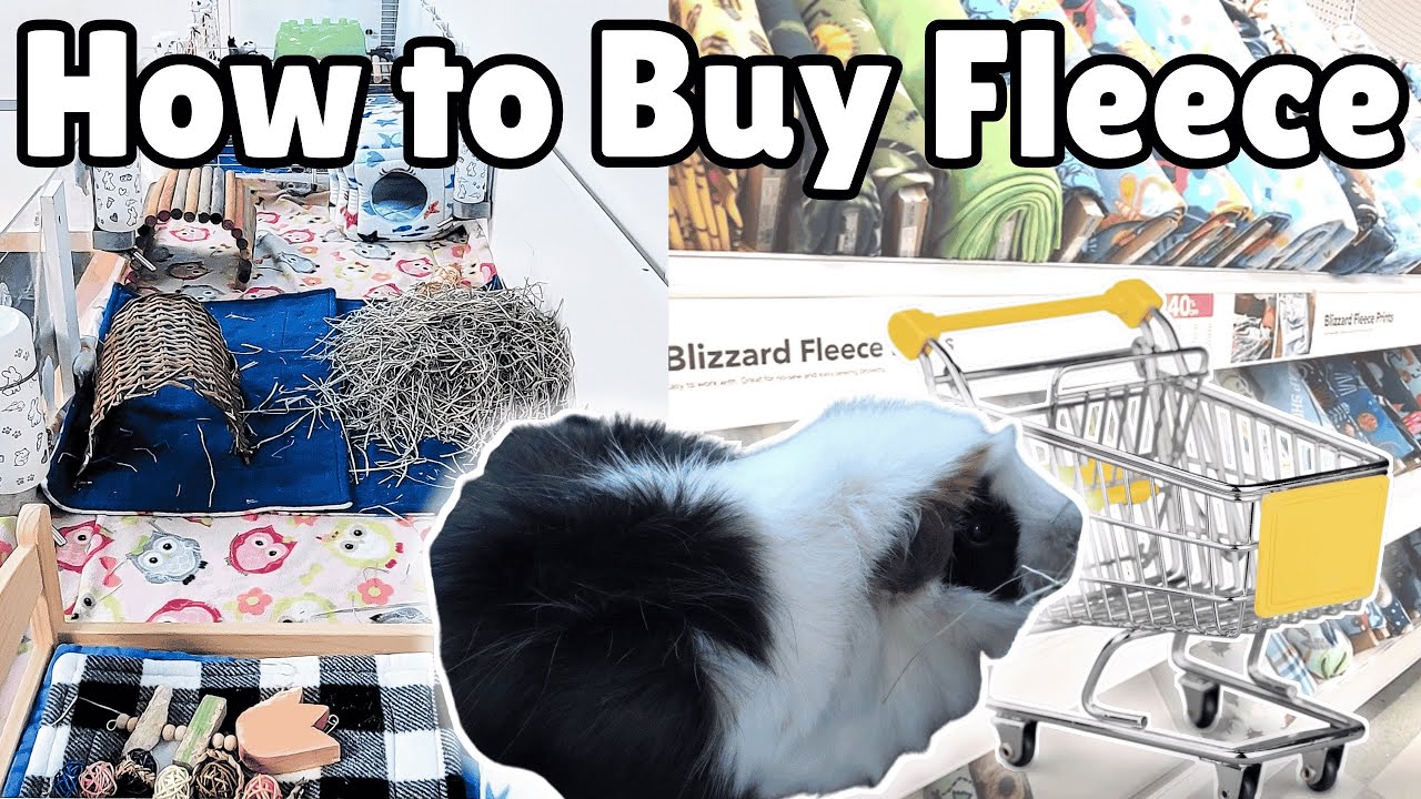 How to Buy Fleece for Guinea Pigs // DIY Cage Liner Series Part Two