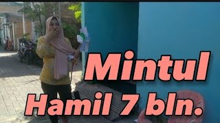 Mintull Hamil 7 bln.