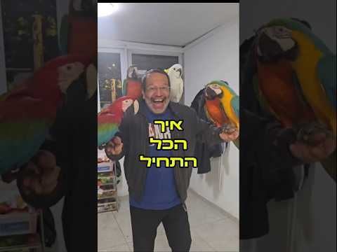 איך התחלתי לאלף תוכים #birds #אילוף #parrot #חוויה #pets #תוכים #animals #macaw #funny