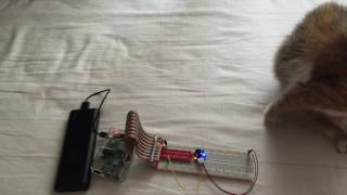 Popcorn Melody on Raspberry Pi with active buzzer