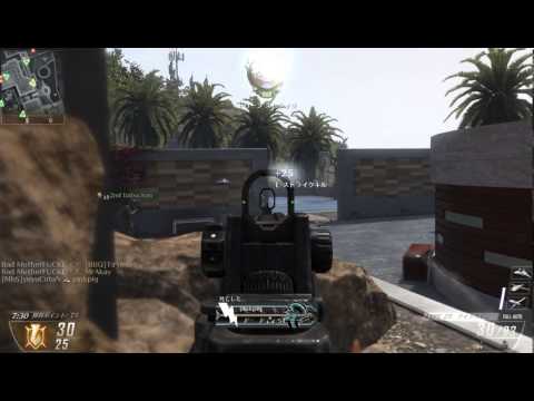 PC版CoD:BO2 ~字幕版買ったお~