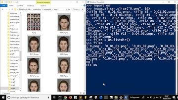 Split images and rename with Python
