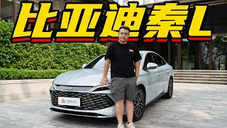 抢先看BYD秦L！12万RMB级的BYD比亚迪B级车！【李立山车评】