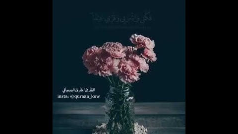 تلاوة هادئة وخاشعة طارق الصبياني