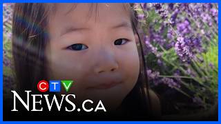 Information Charges laid in hit-and-run that killed girl Update