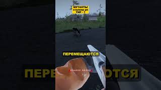 Мутанты в СТАЛКЕР РП в АРМЕ #armareforger #stalkerrp #сталкер #сталкеррп #армарефорджер #dayzrp