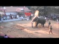 Elephant attack Mahout