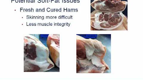 Dr. Kenneth Prusa - Feeding for Pork Quality: Impa...