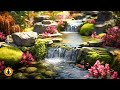 Relaxing Nature Meditation Music, Stress and Anxiety Relief Music, Spa Music, Sleep Music, Zen Music