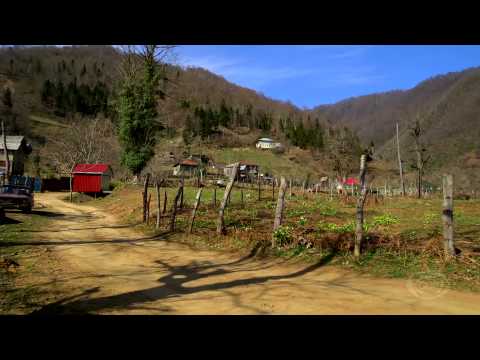 GD პედია -  მარტა ბარამიძე  - პროექტი “სტუდენტები თვითმმართველობისთვის”  ქედაში