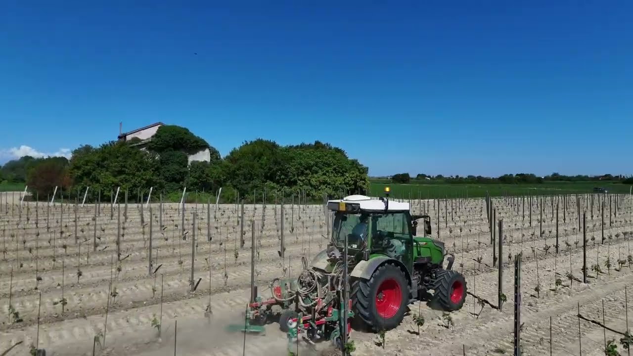 Impianto a vigneto in provincia di Pordenone