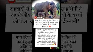 100 Year Old Vatsala Breathed Her Last, Emotional Farewell To The Forest Grandmother