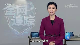 《全网追踪》一场“刻骨铭心”的网恋 中年男子落入爱情陷阱 20200927 | CCTV社会与法