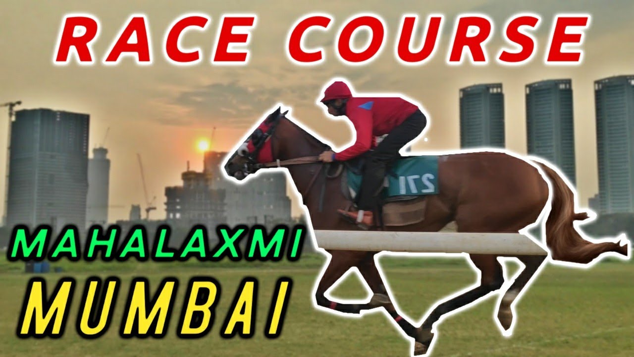 MAHALAXMI RACE COURSE HORSE RIDING MUMBAI YouTube