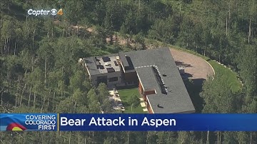 Bear Opens Front Door, Attacks Man Inside Aspen Home