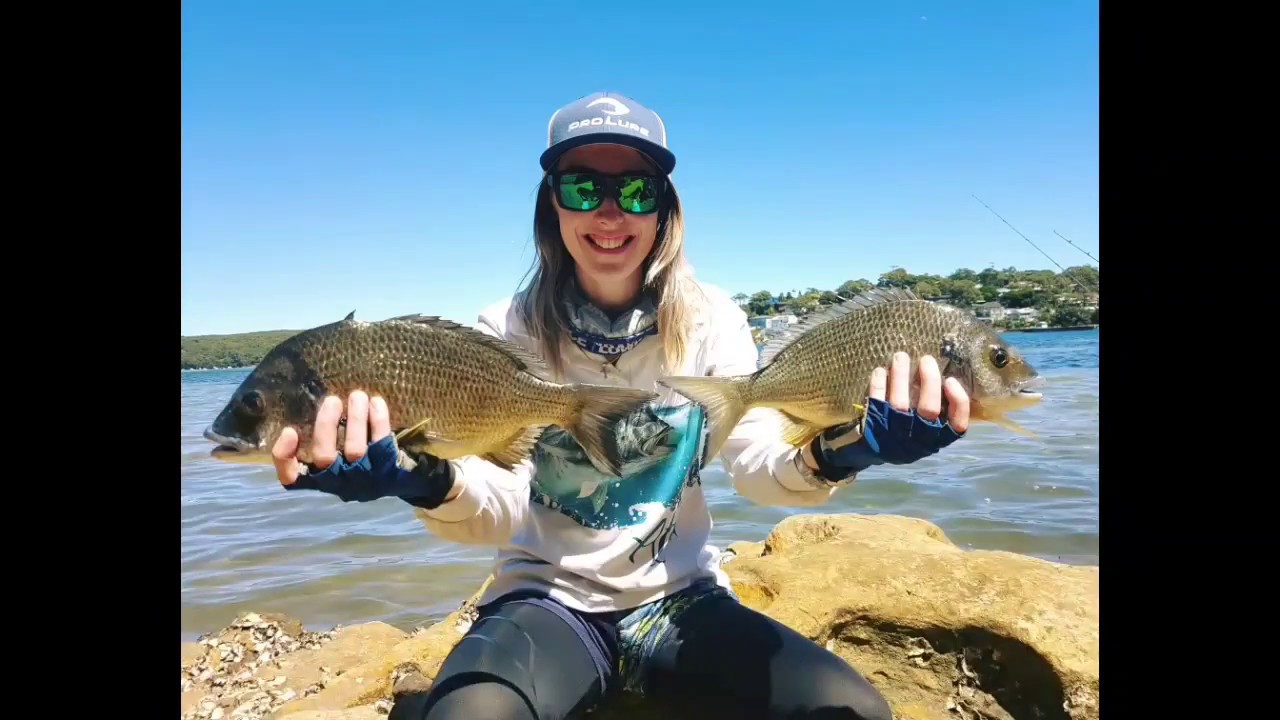 Big Bream Kayak fishing Sydney YouTube