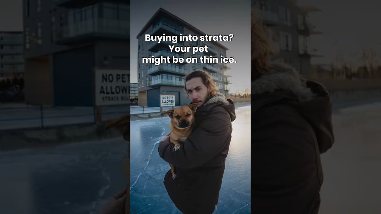 Strata Living with Pets: What You Need to Know