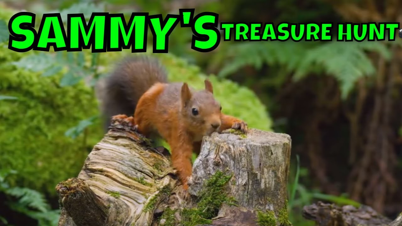 treasure-hunt-tales-toddlers-bedtime-stories-sleepy-bedtime-stories