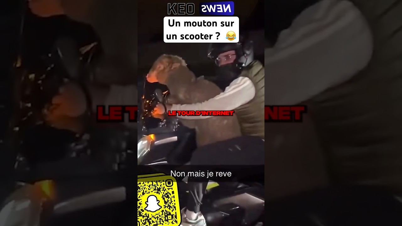 CE MEC RAMÈNE UN MOUTON EN SCOOTER POUR L’AID ? 😂 #shorts #humour #aid #aidmubarak #tiktok #mouton