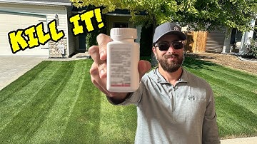 Destroy Nutsedge With just 1 Easy Application!