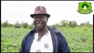 UDS NYANKPALA DOCUMENTARY Actualización