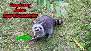 Happy Belly Granola Bar Review by George Cooney