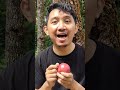 How to remove stickers from an apple #lifehacks #outdoors #camping #survival #apple #applestiker