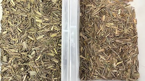 TOPSORT lemongrass color sorter with WIFI remote control