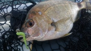 видео: Rockfishing в Немецкой балке 03.06.2017г. картинка: Rockfishing в Немецкой балке 03.06.2017г.