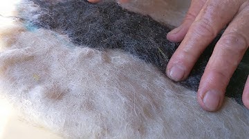 Laying out your wool  with the most successful primitive wet felting techniques