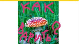видео: (((,,Как ВАРИТЬ мухоморы картинка: (((,,Как ВАРИТЬ мухоморы
