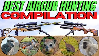 THE BEST AIR GUN HUNTING COMPILATION EVER I CENTRE FIRE AND AIRGUN HUNTING 2021