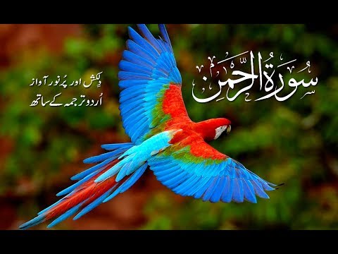 surah-rehman-with-urdu-tarjuma-youtube