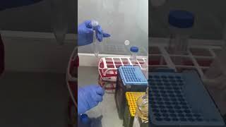 Researching Bowel Cancer: Growing Mini-Tumours in the Lab