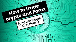 Crypto and Forex courses: How to Avoid Scams that Don&#39;t Work!