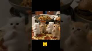 xd me apoyan deydan zuker en tik tok