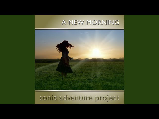 Sonic Adventure Project - Momentum