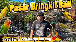 BRINGKIT MARKET IN BALI‼️WE REVIEW BIRD PRICES HERE‼️ #KicauVlogBaliEpisode113 #dewatasamudra