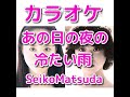 カラオケ「あの日の夜の冷たい雨」松田聖子☆歌詞付き
