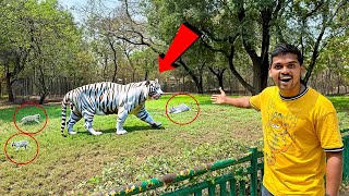 Exploring Zoo Park Hyderabad with our Team 🔥🔥 మొదటి సారి తెల్ల పులిని చూసాము…😱😱  Telugu Experiments