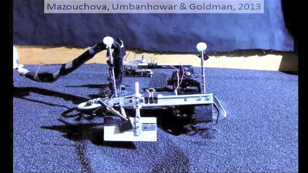 Using robots to reveal secrets of walking baby sea turtles