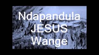 Ndapandula JESUS Wange (with lyrics)