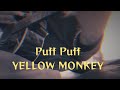 THE YELLOW MONKEY「Puff Puff」弾き語りcover