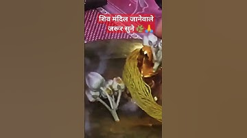 शिव मंदिल जानेवाले जरूर सुने 🌿🙏 #pandit_pradeep_ji_mishra #shortvideos #ravish #archana 🌿🙏